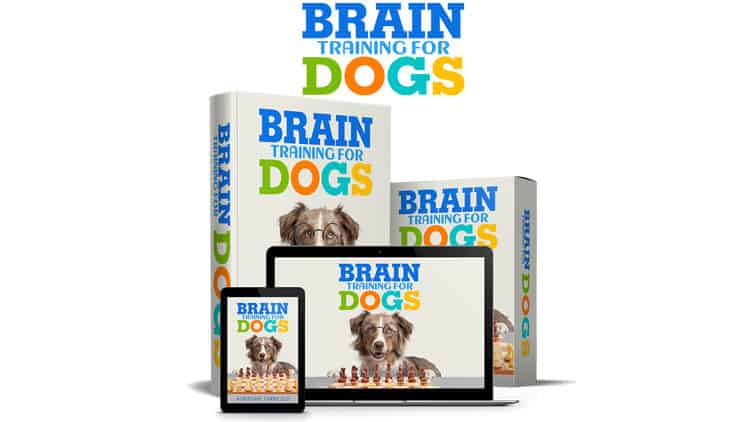 The Brain Training For Dogs course begins with an introduction to force-free training sessions, and all its workouts follow this rule.